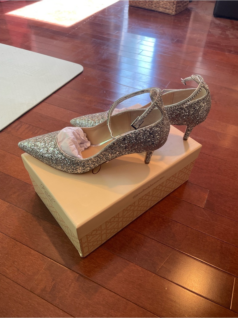 Jamila by Jewel Badgley Mischka NWT silver kitten heels
